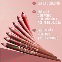 Lifter Liner   Lifter Liner   6